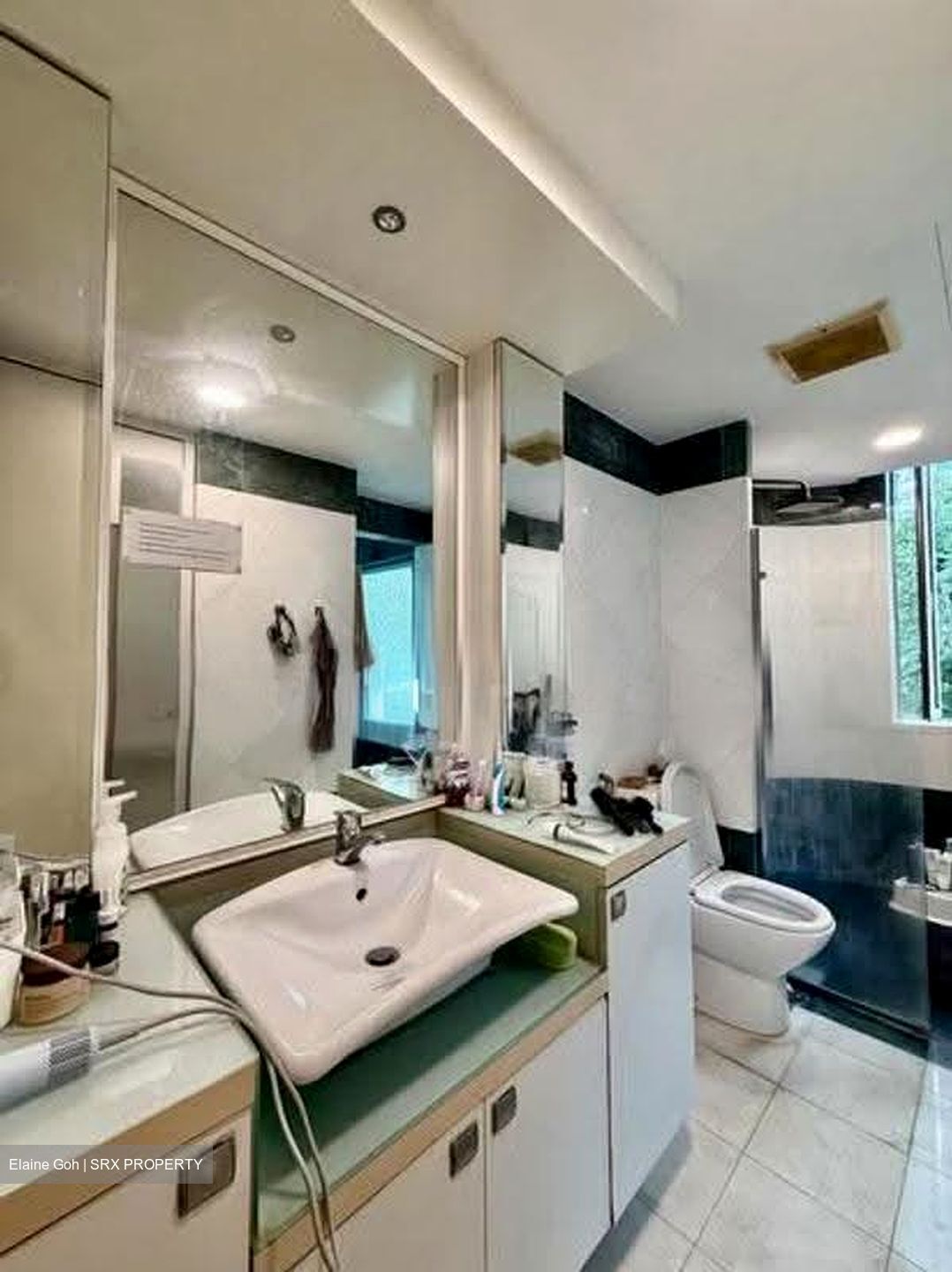 Horizon Towers (D9), Condominium #621508521